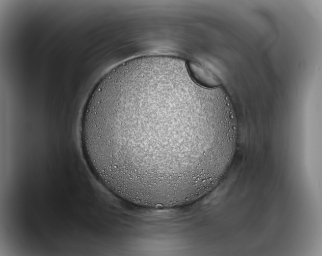 X0000088681471200706141345