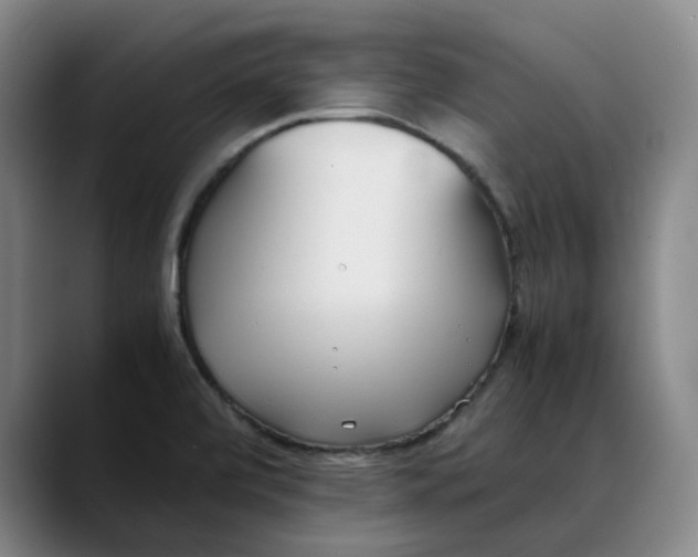 X0000088681472200706141345