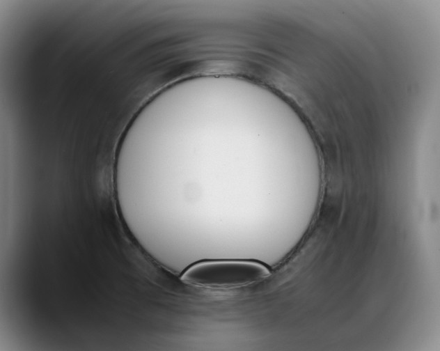 X0000088681473200706141345