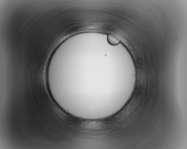 X0000088681474200706141345