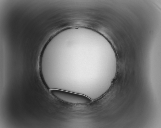X0000088681477200706141345