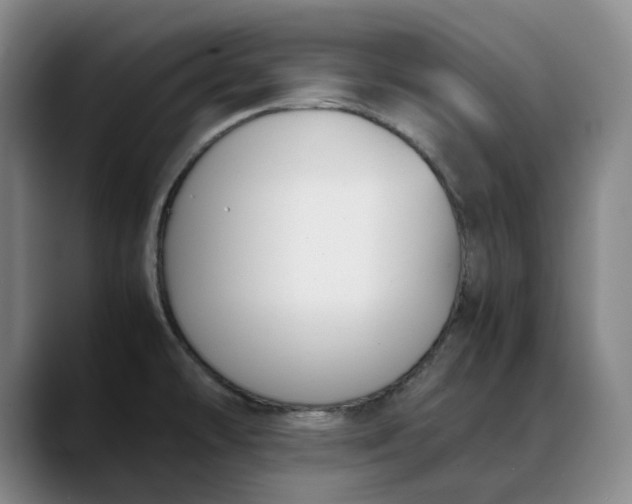 X0000088681478200706141345