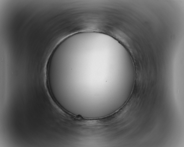 X0000088681479200706141345