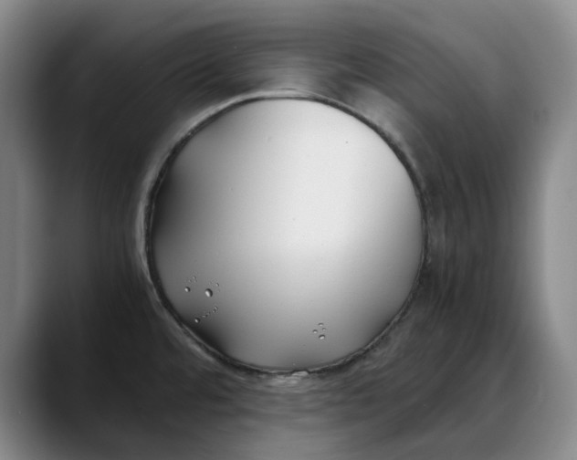 X0000088681480200706141345