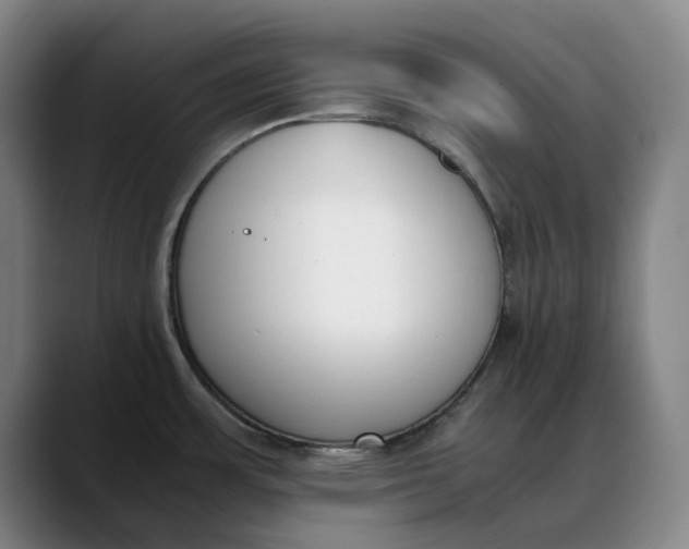 X0000088681483200706141345