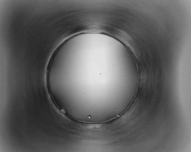 X0000088681484200706141345