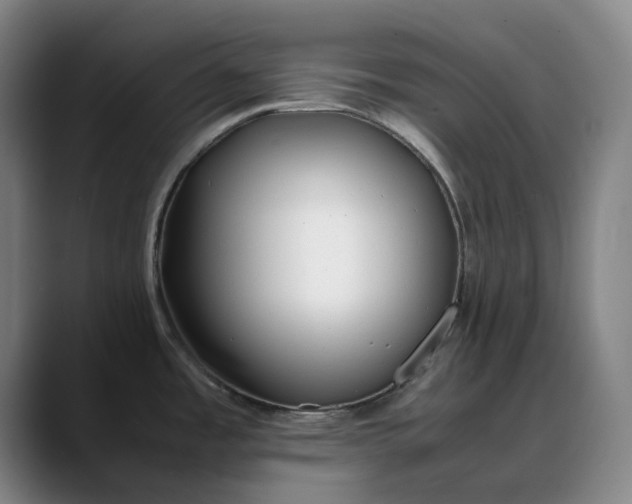 X0000088681485200706141345