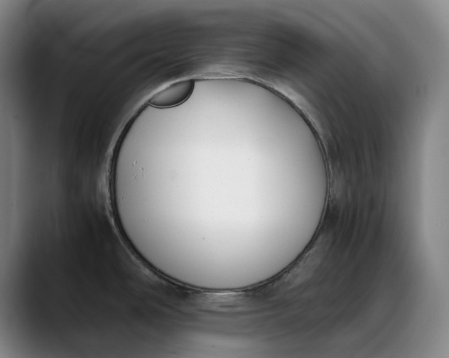 X0000088681486200706141345
