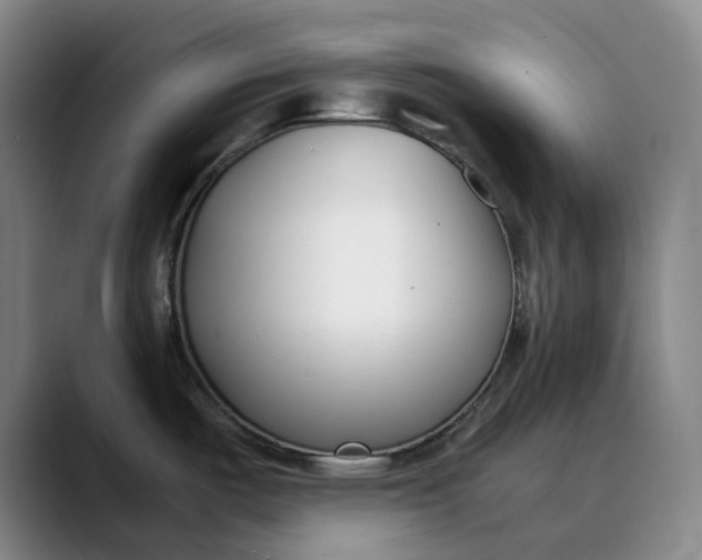 X0000088681487200706141345