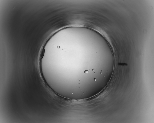 X0000088681488200706141345