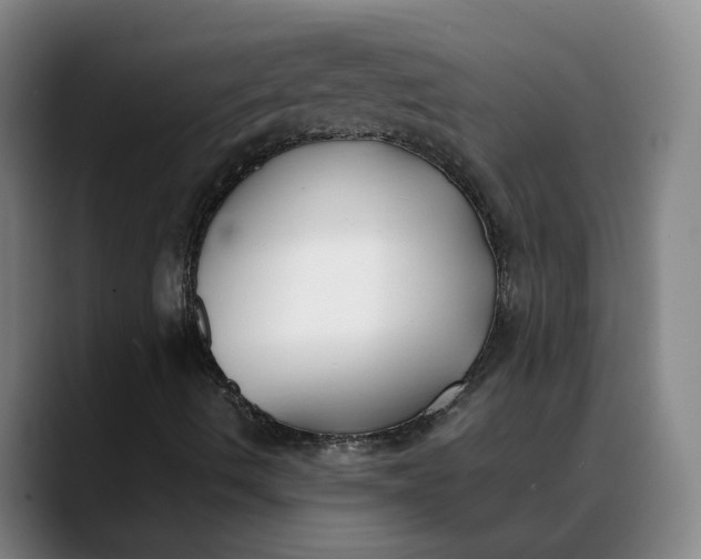 X0000088681490200706141345
