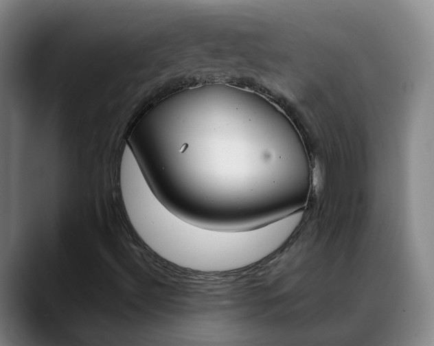 X0000088681492200706141345