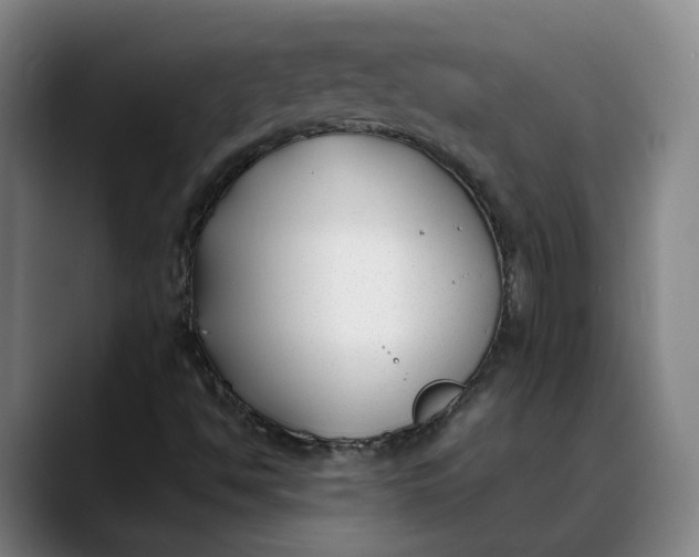 X0000088681494200706141345