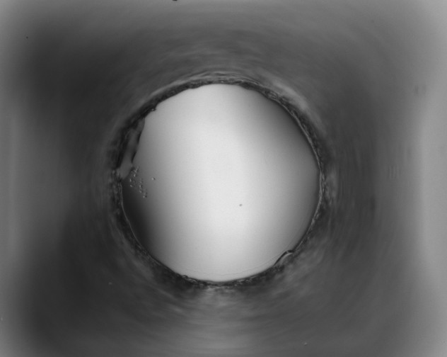 X0000088681496200706141345