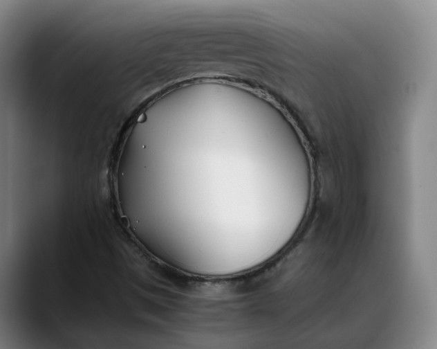 X0000088681497200706141345