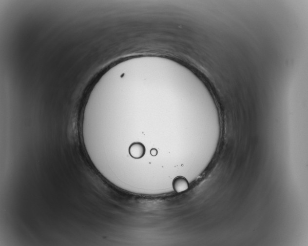 X0000088681498200706141345