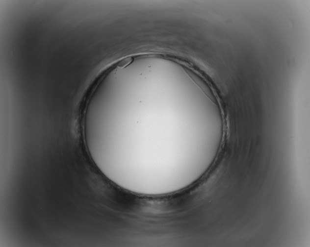 X0000088681501200706141345