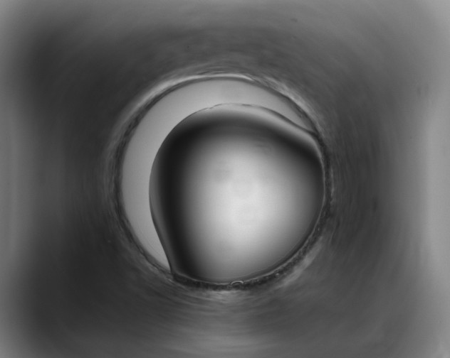 X0000088681502200706141345
