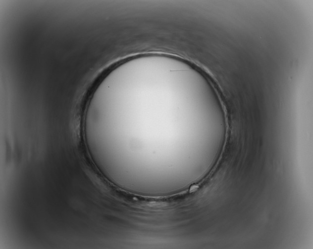 X0000088681503200706141345