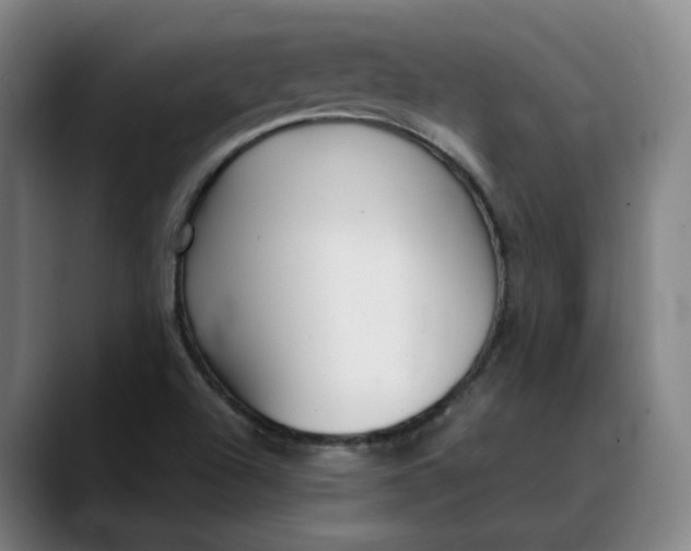 X0000088681504200706141345