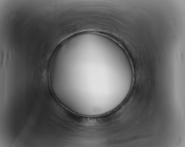 X0000088681505200706141345
