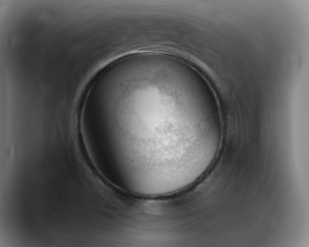 X0000088681506200706141345