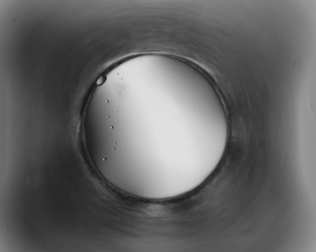 X0000088681507200706141345