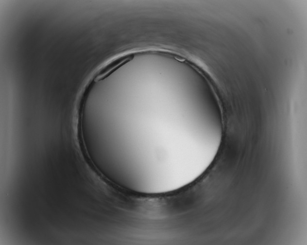 X0000088681508200706141345