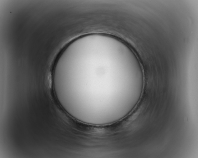 X0000088681509200706141345
