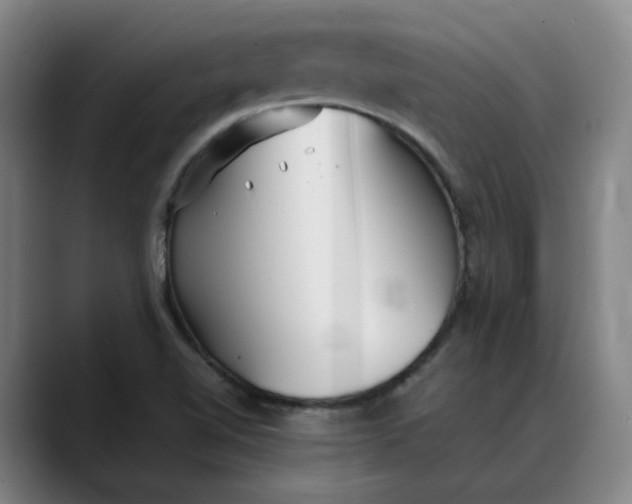 X0000088681510200706141345