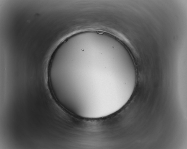 X0000088681512200706141345