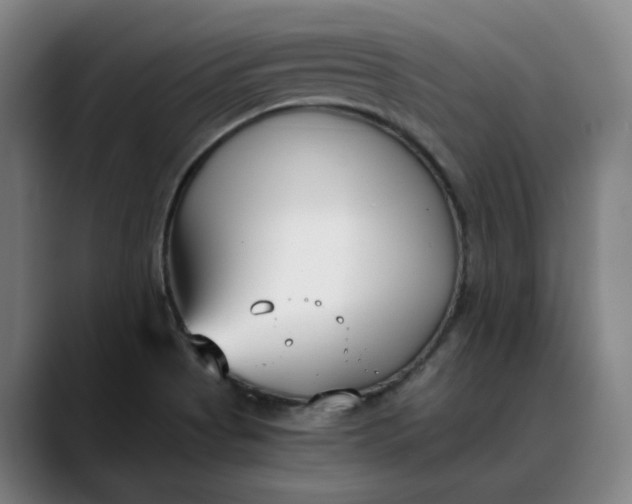 X0000088681513200706141345
