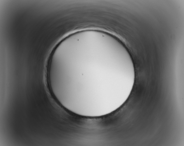 X0000088681518200706141345