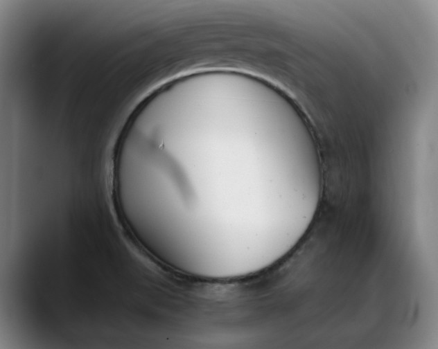 X0000088681519200706141345