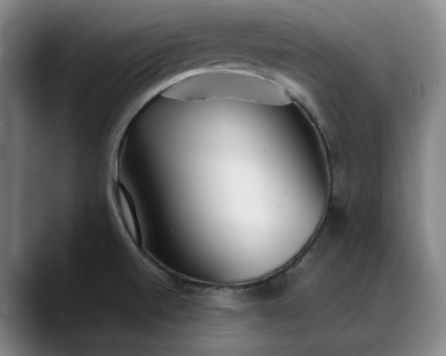 X0000088681520200706141345