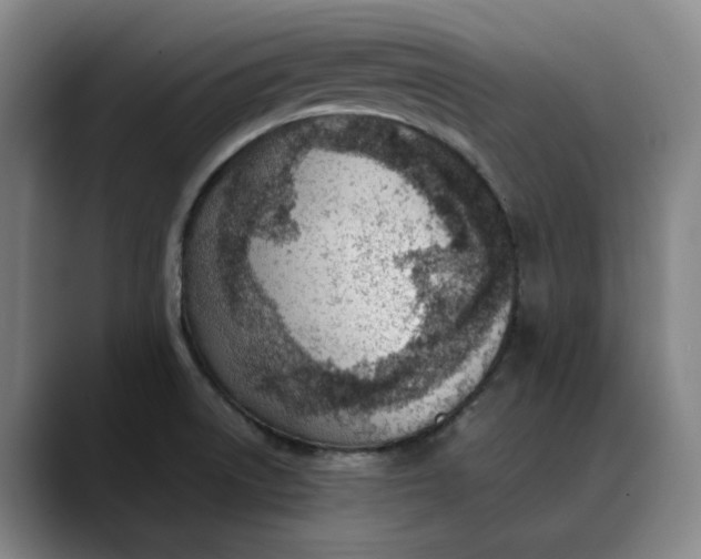 X0000088681522200706141345