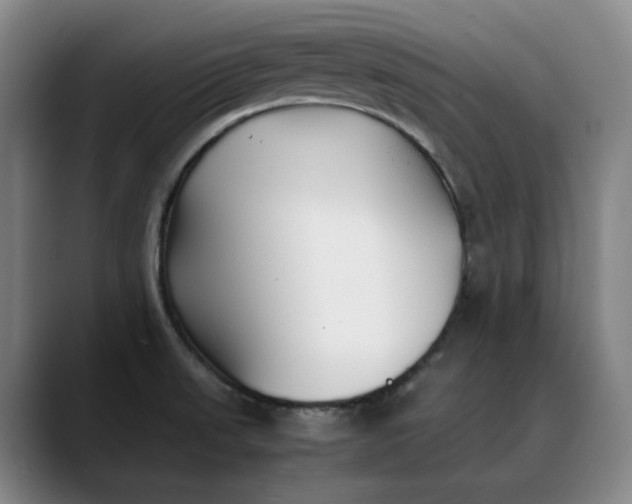 X0000088681523200706141345