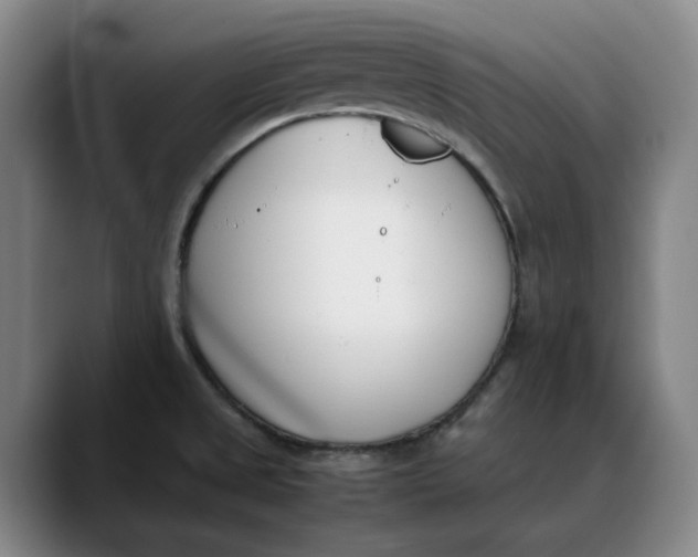 X0000088681525200706141345