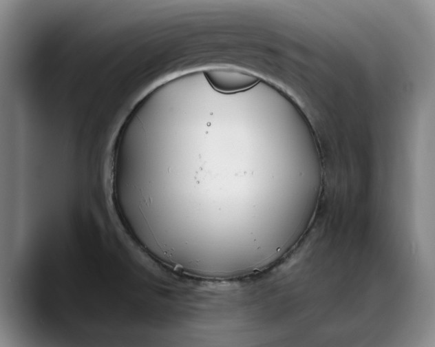 X0000088681526200706141345