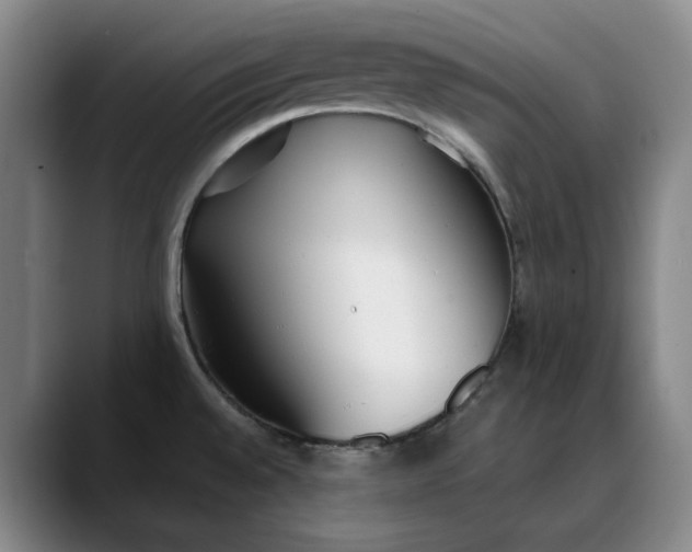 X0000088681528200706141345