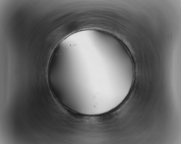 X0000088681529200706141345