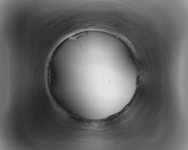 X0000088681530200706141345
