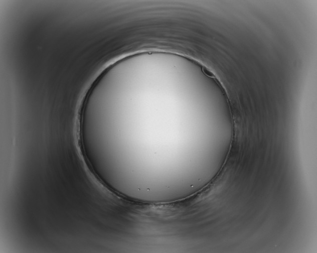 X0000088681531200706141345