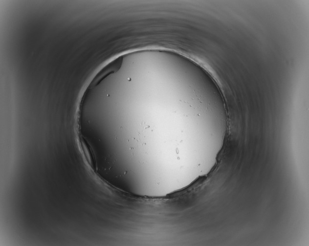 X0000088681532200706141345