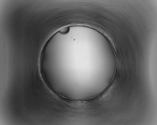 X0000088681533200706141345