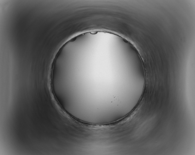 X0000088681534200706141345