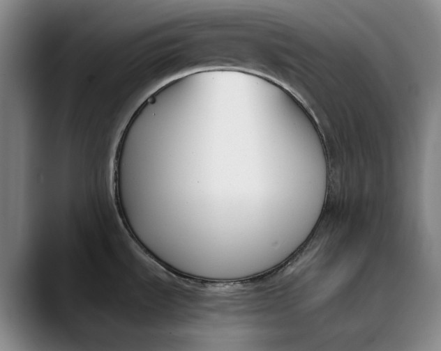 X0000088681535200706141345