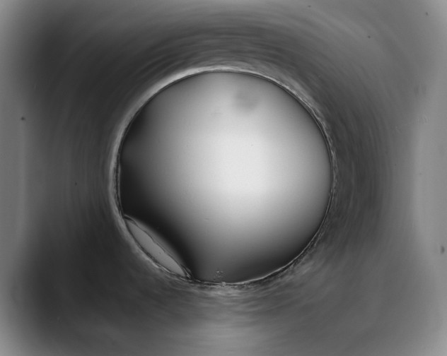 X0000088681536200706141345