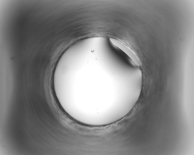 X0000088680001200706211917