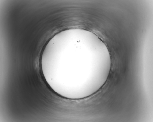 X0000088680002200706211917